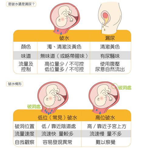 落紅|3大產兆如何判斷？落紅、破水、陣痛，代表我快生了。